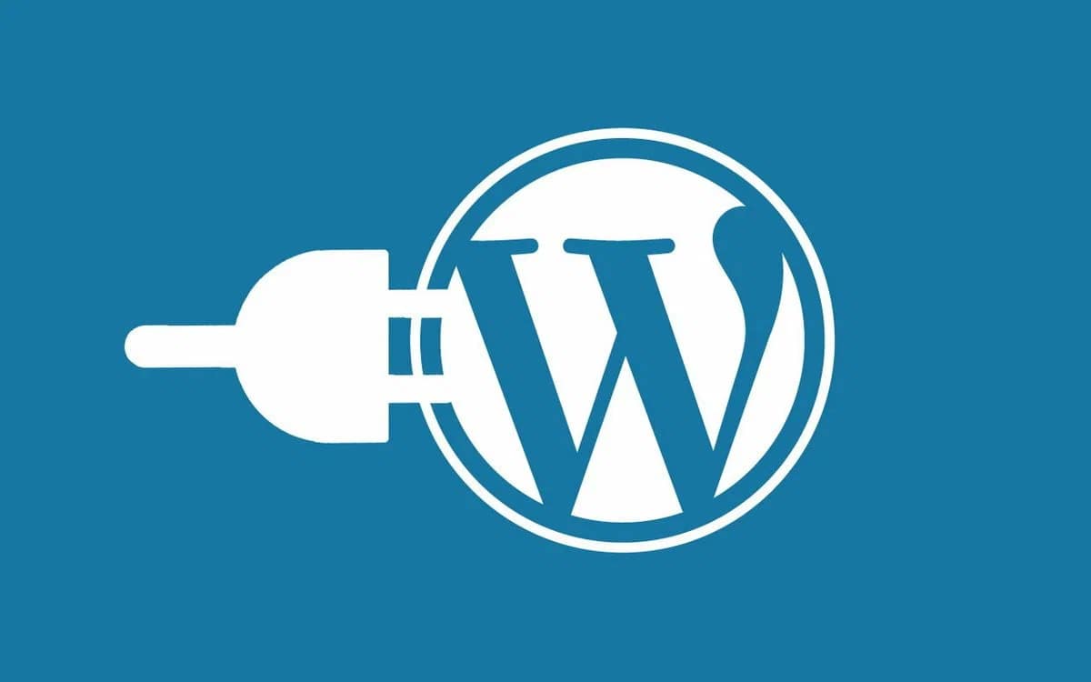 7 инструментов разработчика для CMS WordPress 7 инструментов разработчика для CMS WordPress