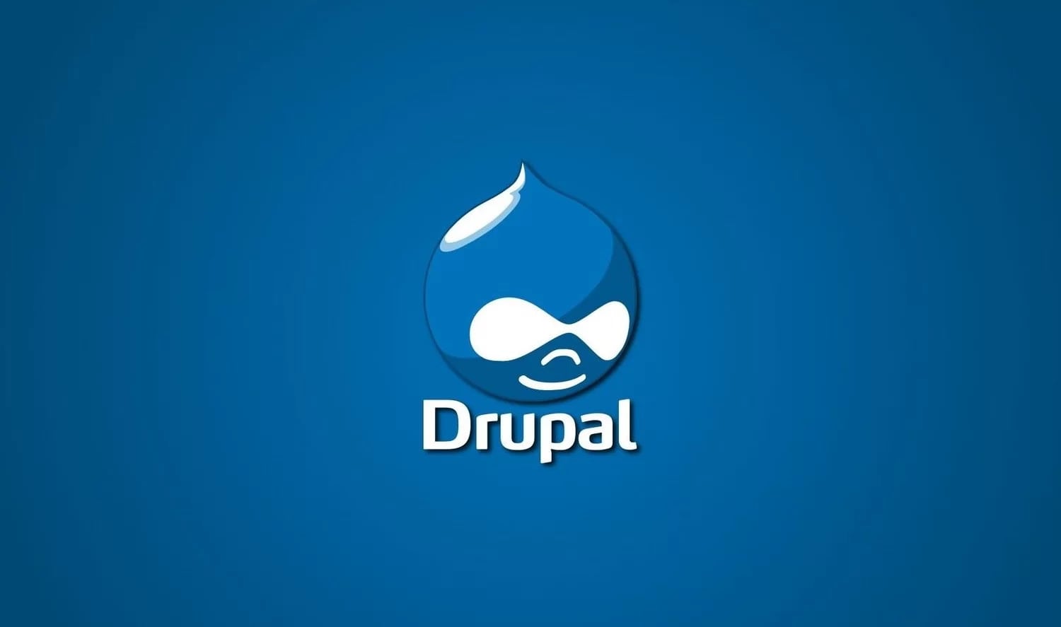 CMS Drupal: плюсы и минусы CMS Drupal: плюсы и минусы
