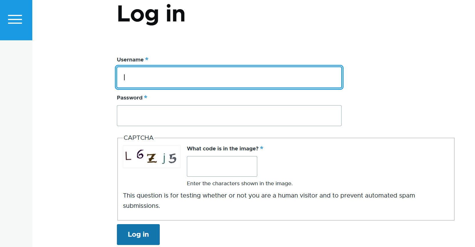 Изображение-тест в форме входа