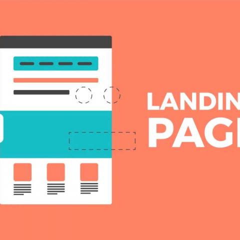 Какие бывают виды landing page