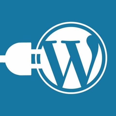 7 инструментов разработчика для CMS WordPress 7 инструментов разработчика для CMS WordPress