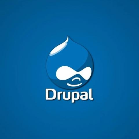 CMS Drupal: плюсы и минусы CMS Drupal: плюсы и минусы
