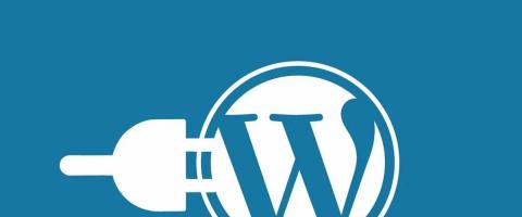 7 инструментов разработчика для CMS WordPress 7 инструментов разработчика для CMS WordPress